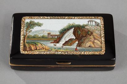 EARLY 19TH GOLD-LINED, TORTOISESHELL MICROMOSAIC SNUFF BOX.EMPIRE PERIOD.