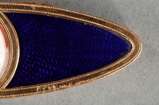 hinged curdent, blue enamel gold box   18 century,   ivoory, peacock